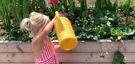 Mädchen mit Gießkanne gibt den Pflanzen Wasser.