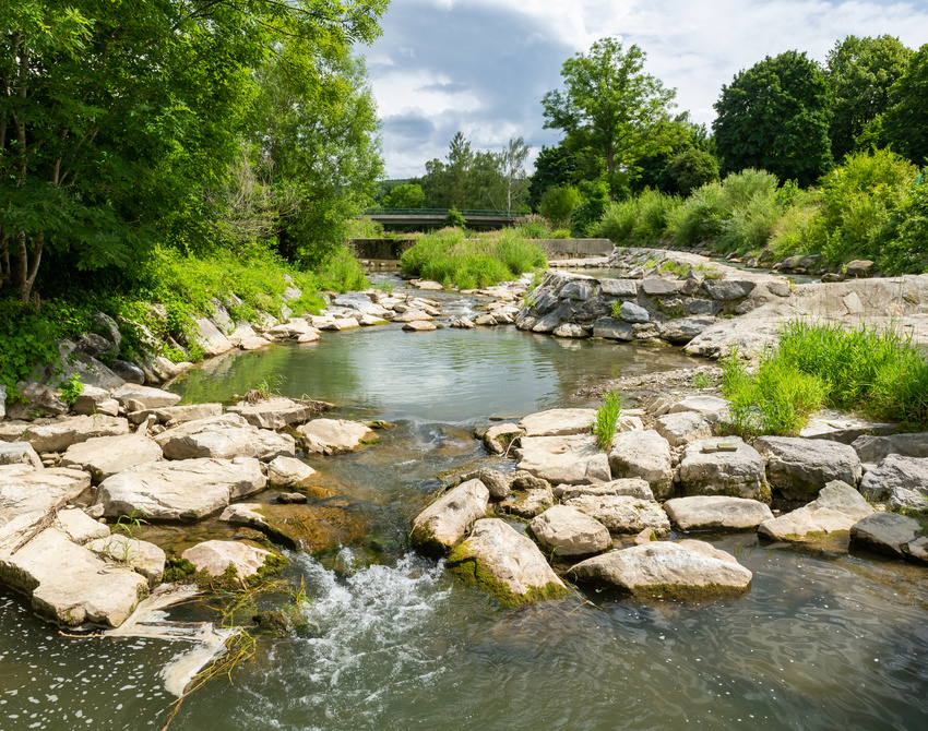 Ein Fluss mit vielen Steinen und Bäumen und Hecken am Uferrrand.