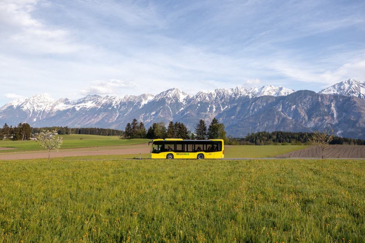 Bus fährt über grüne Wiese