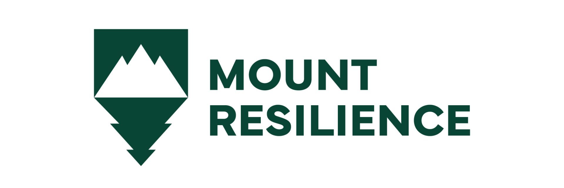 Logo Mount Resilience