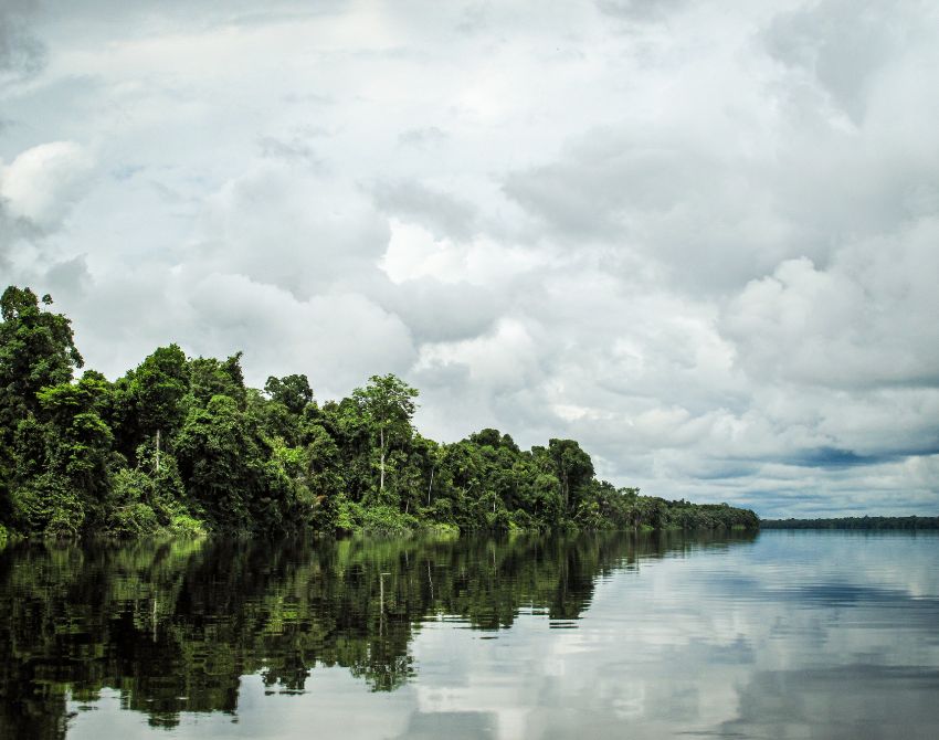 Regenwald, Fluss Rio Negro und bewölkter Himmel
