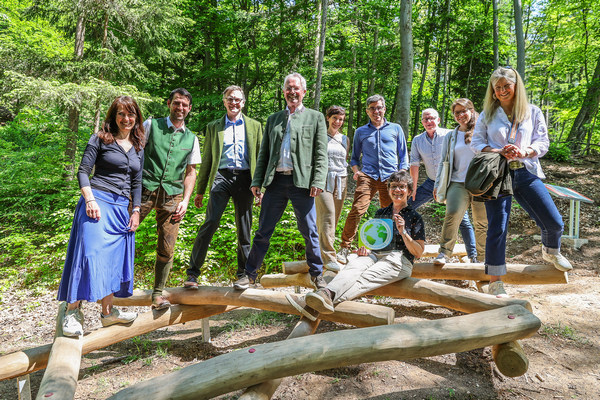 Eine Gruppe an Menschen steht auf Holzstreben im Wald.