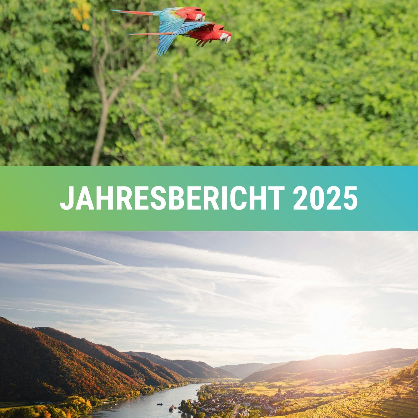 zwei Papageien im Flug und eine Hügel Landschaft im Sonnenuntergang mit der Überschrift Jahresbericht 2025
